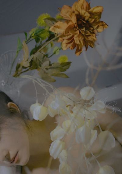 妈妈的朋友播放_1080P日本电影免费